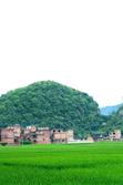 伏兔春萌　－－　一座四季如春天然石山