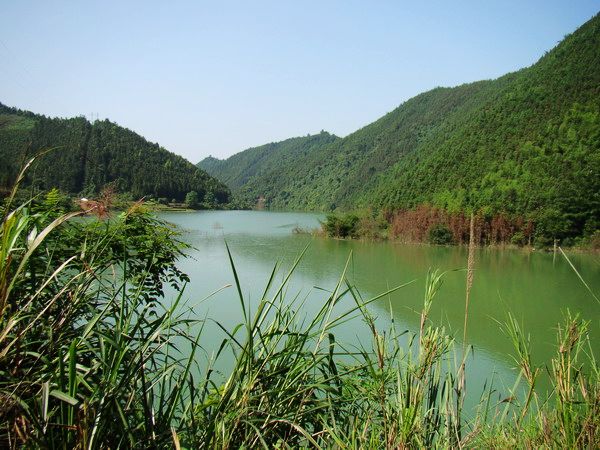 涡水镇人口_涡水镇六联村(2)