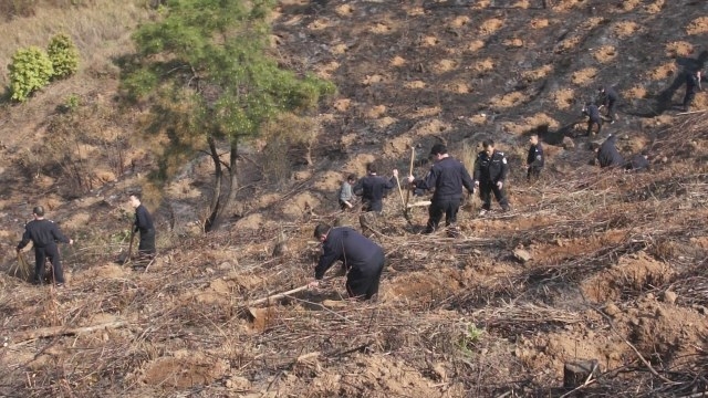 连南县局积极参与植树认捐认养活动