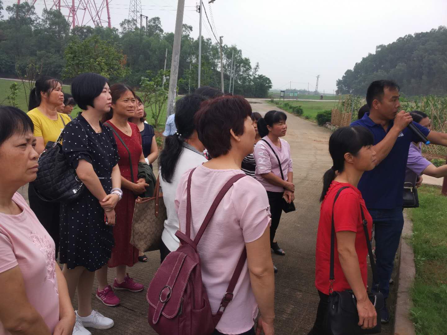 清城区石角镇各村人口_清远市清城区石角镇