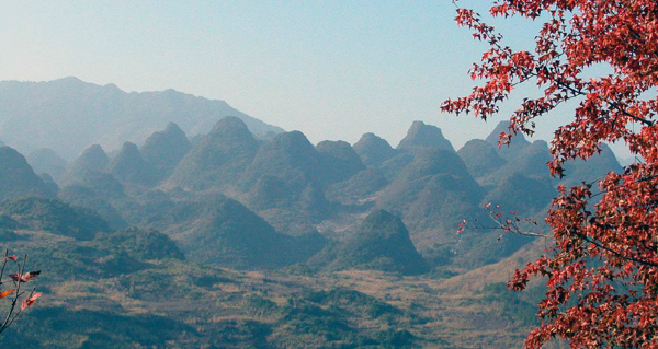 万山朝王