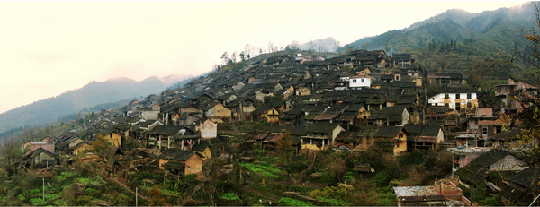 油岭排全景图