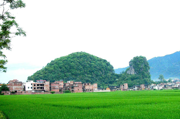 伏兔春荫
