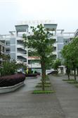 民族高级中学