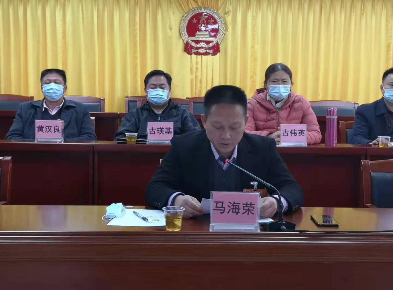 镇党委书记马海荣发表讲话