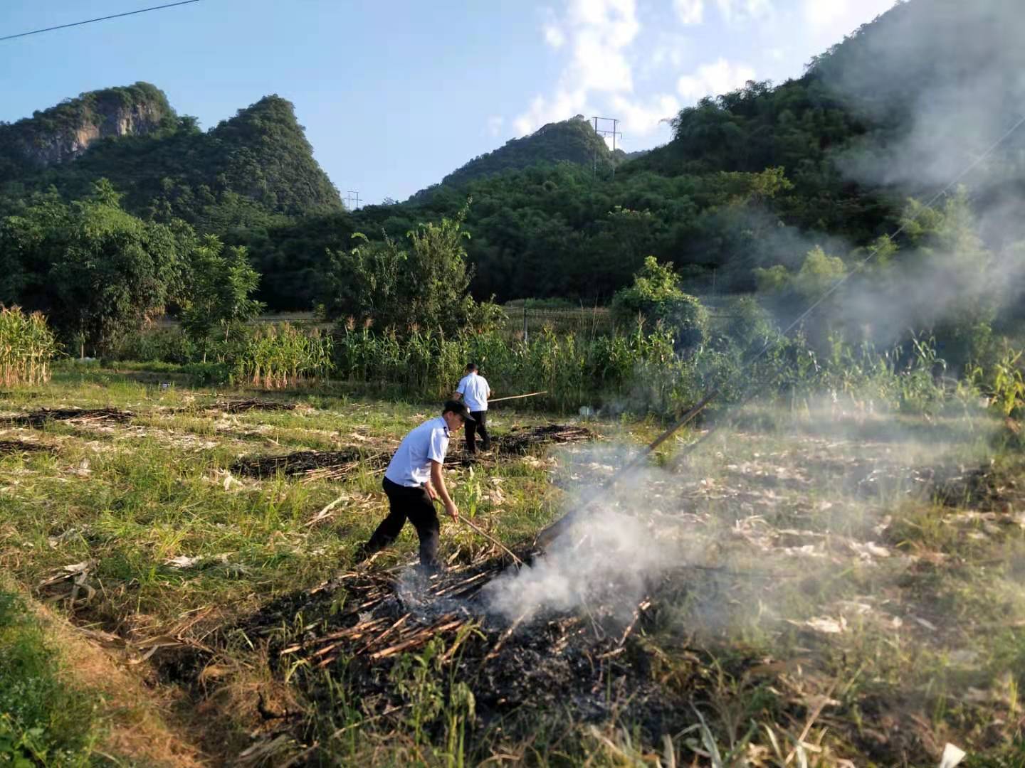 4. 工作人员发现焚烧秸秆行为后及时制止、扑灭.jpg