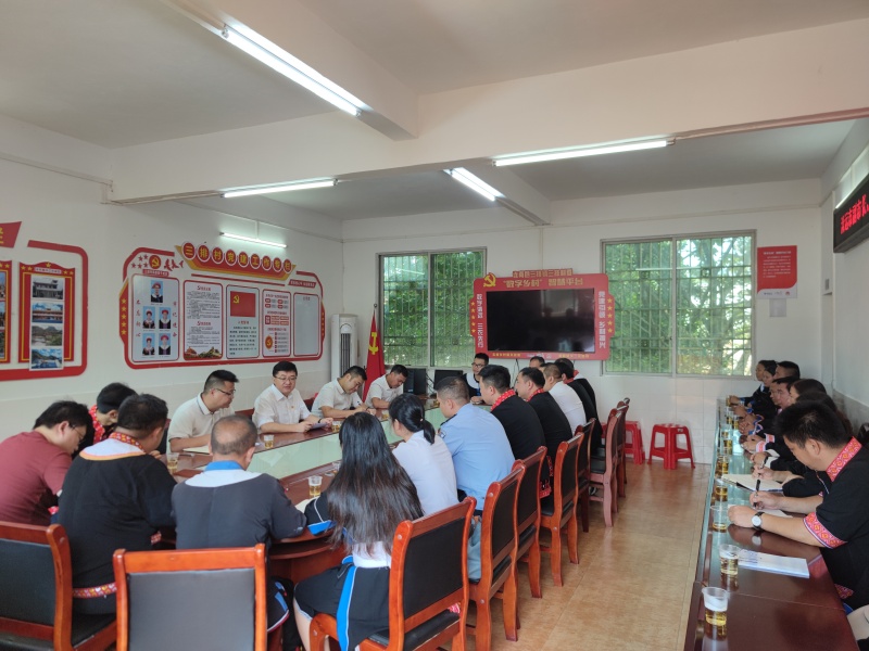 闵飞到三排村上专题党课.jpg