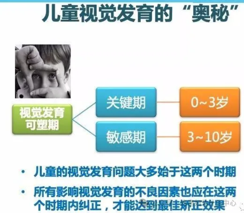 1.webp.png