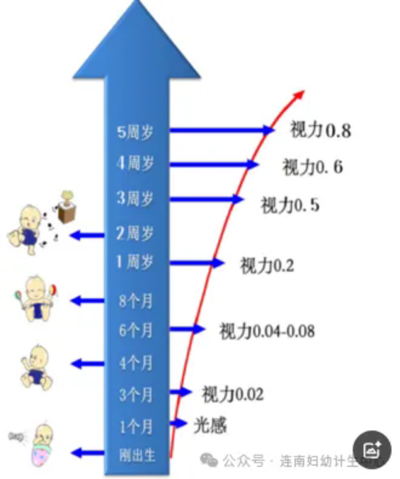 6.webp.png