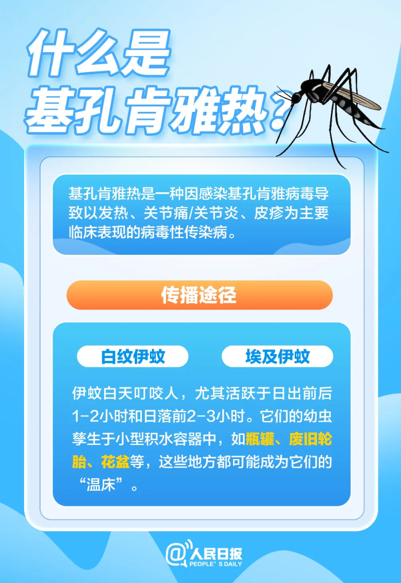 已编辑图片