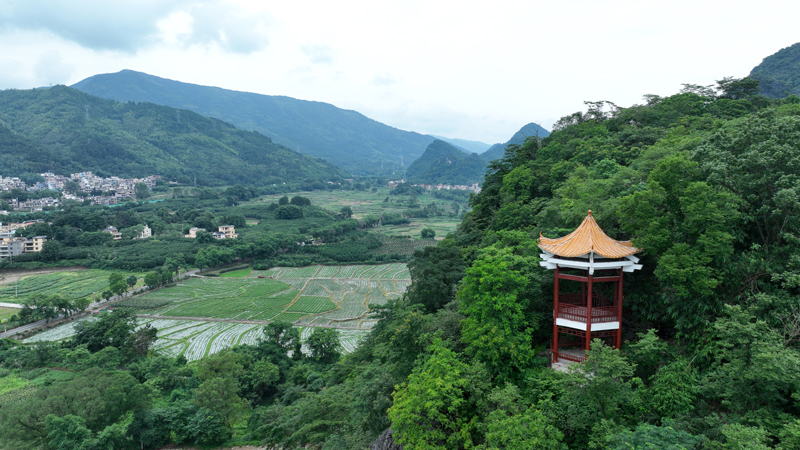 狮子山