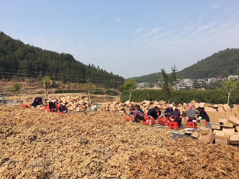 三2026.5.22.jpg