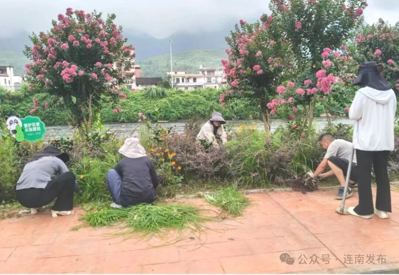 图片4.png