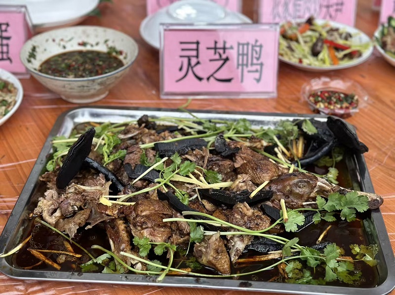 灵芝鸭(2).jpg