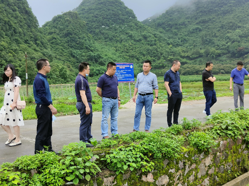 已编辑图片