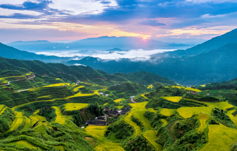 6云上田园.jpg