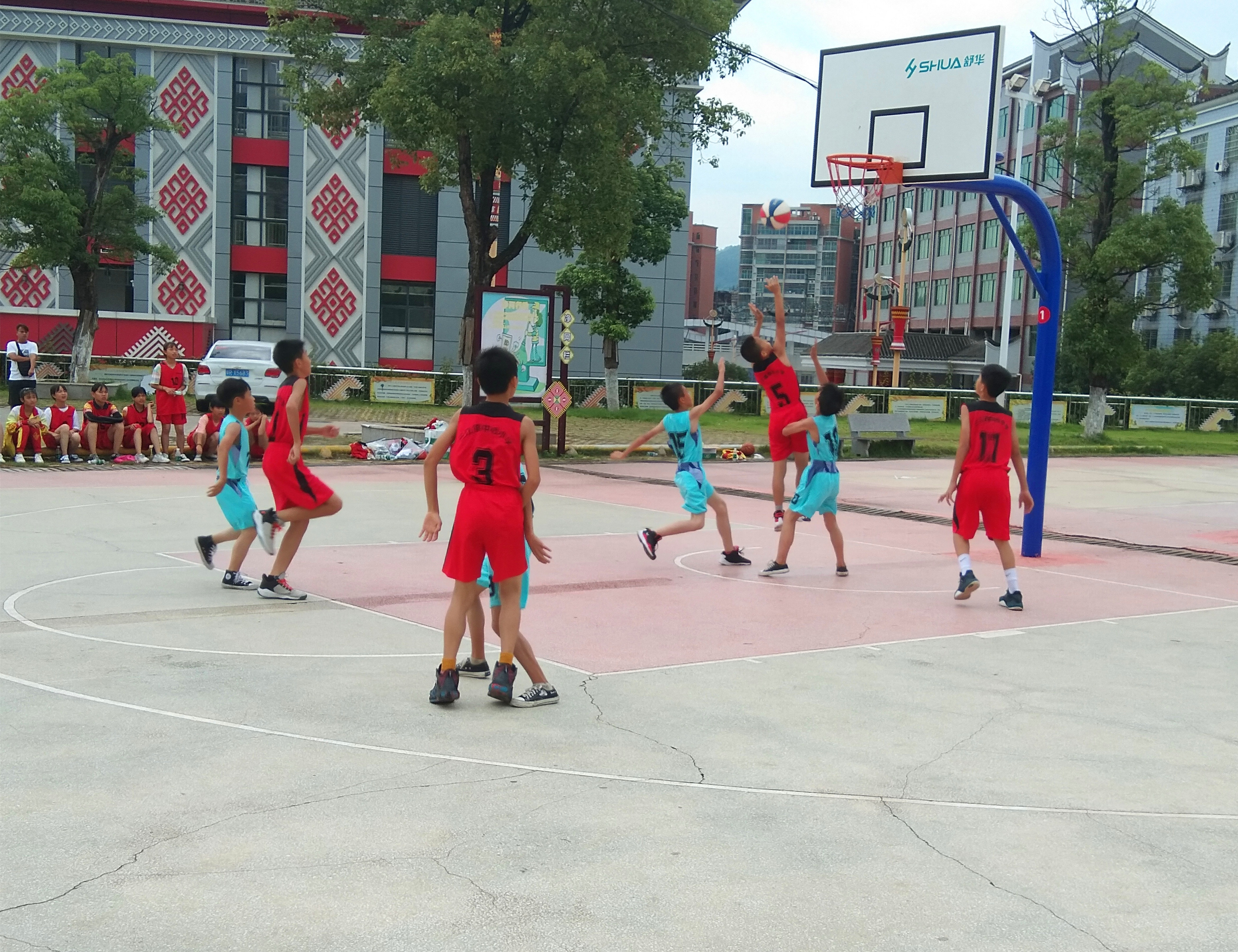 IMG_20210616_081330.jpg