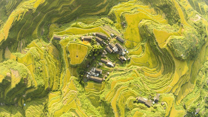 有兴趣上.jpg