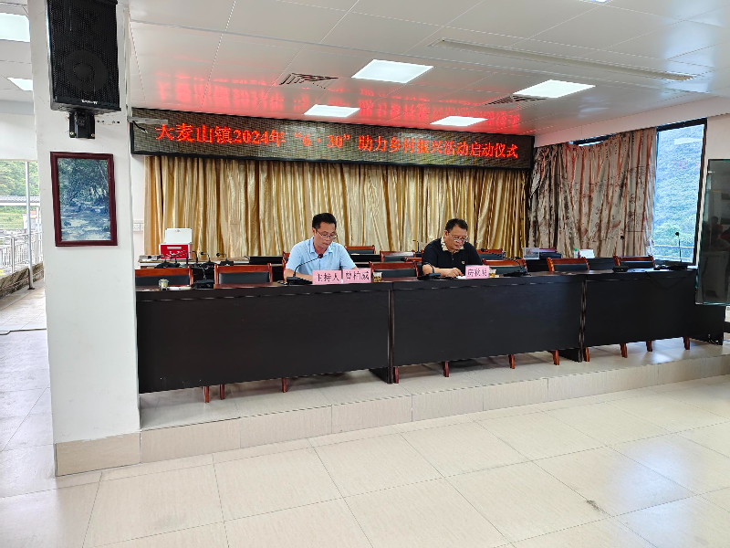 大麦山镇举办2024年"6·30"助力乡村振兴募捐活动